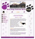 Custom Web Design for Misty Ridge Corgis - Corgi Dog Breeders, Parker Colorado