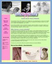 Custom Web Design for South Denver Midwife
