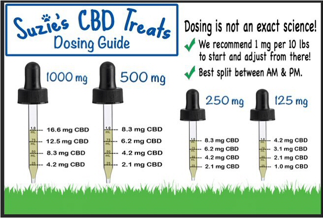 How much CBD to give your pet