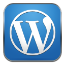 Wordpress website designer